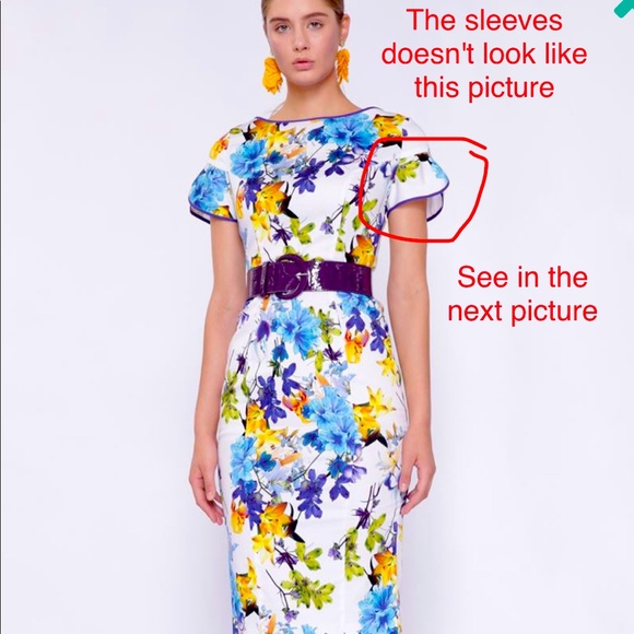 Isabelgarcia Dress - SIZE 6/8US ~ M